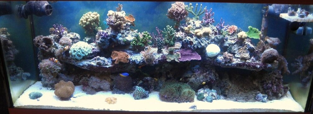 Foto ist von September 2010 (neues kommt bald)