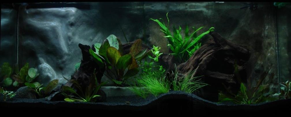 Aquarium Hauptansicht von Kakadus Park Nur noch als Beispiel