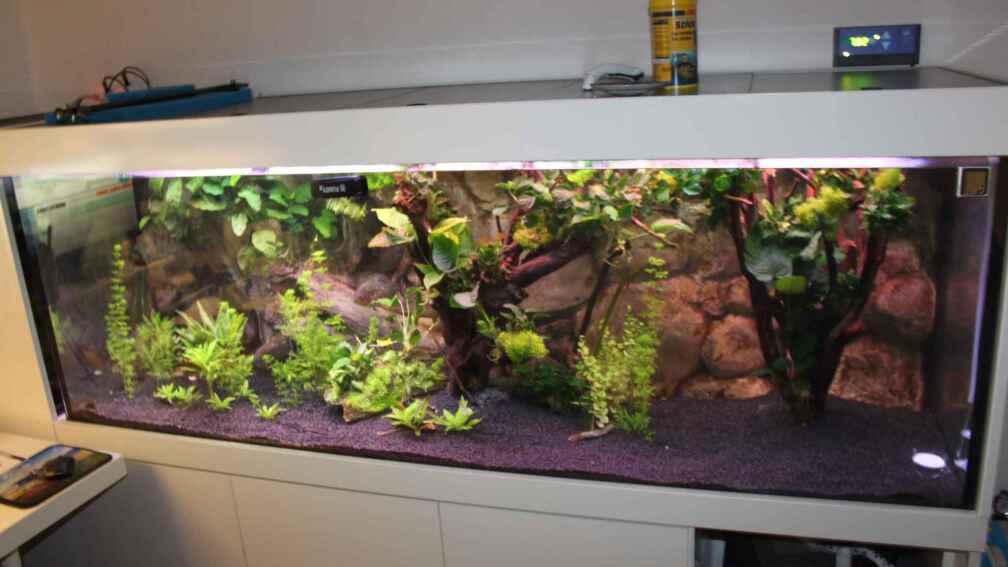 Als Nachtaufnahme gemacht