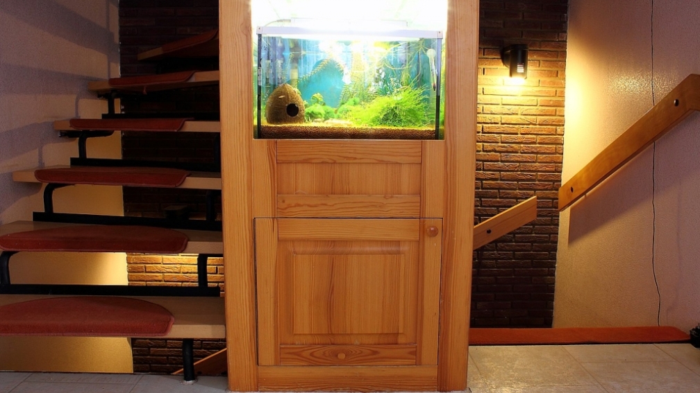 Becken in der Vitrine