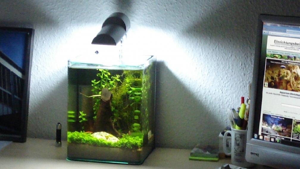 Aquarium Hauptansicht von Desk-Chill - Nur noch Beispiel