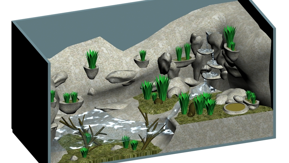 Vampirkrabben Terrarium Gesamtansicht