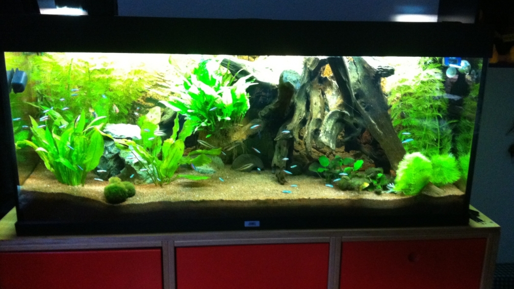 Aquarium Hauptansicht von Amazon as