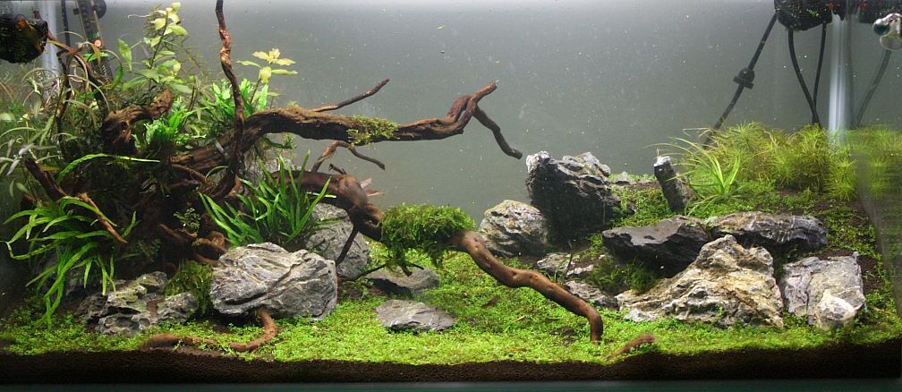 Aquarium Hauptansicht von Becken 21581