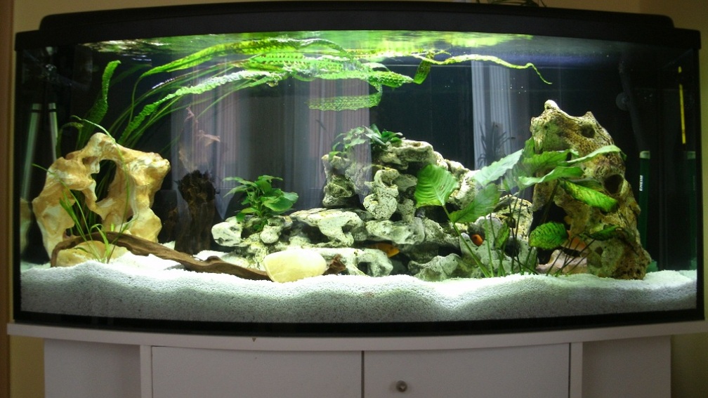 Katzentraum reloaded ;)