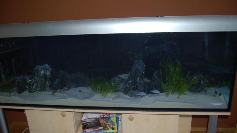 Kurz nach der Einrichtung, noch etwas trüb