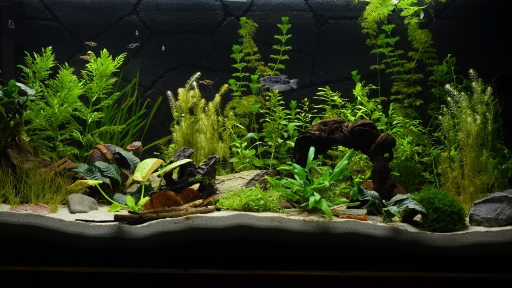 Aquarium Hauptansicht von Waterworld