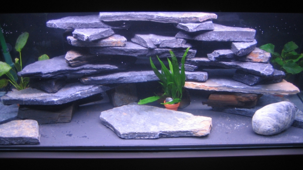 Aquarium Hauptansicht von minimalawi