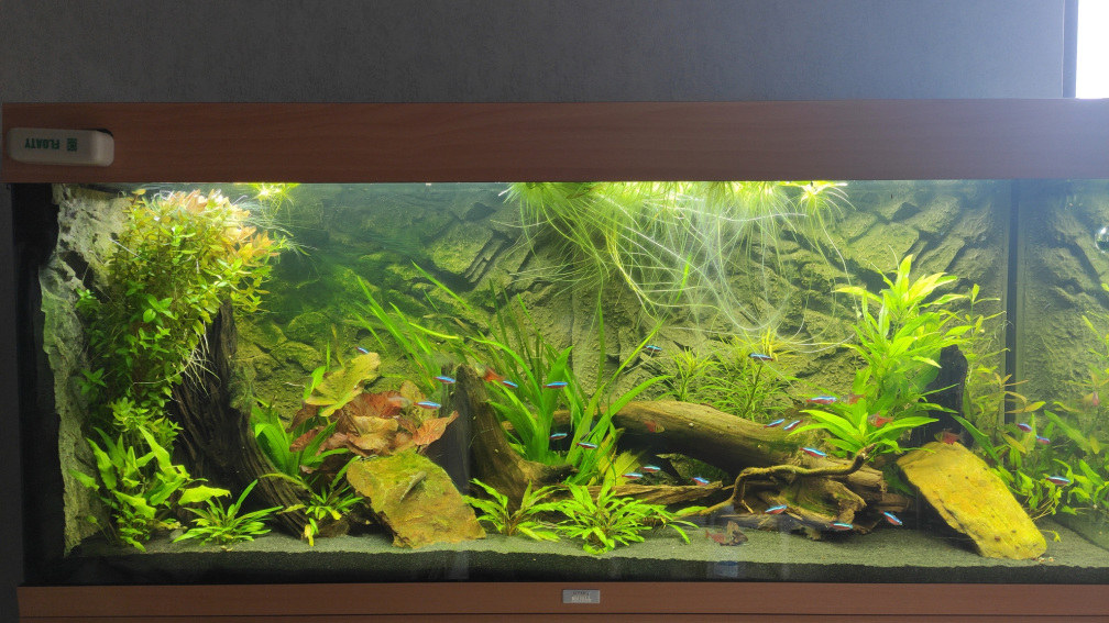 Aquarium Hauptansicht von Südamerika