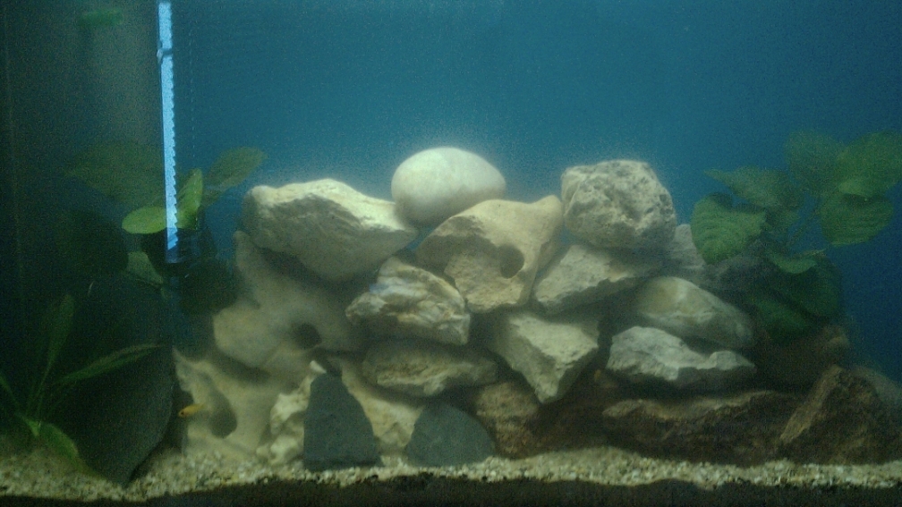 Becken nach Umgestaltung