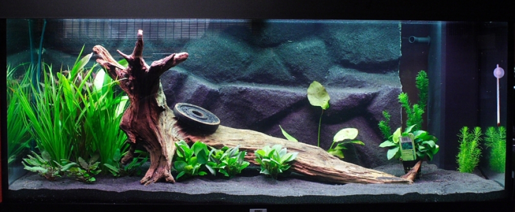 Njoa, geht schonmal für den Anfang