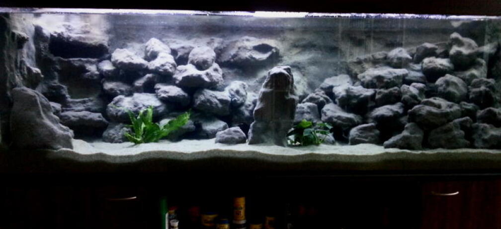 Aquarium Hauptansicht von Mbuna Becken - noch in Arbeit