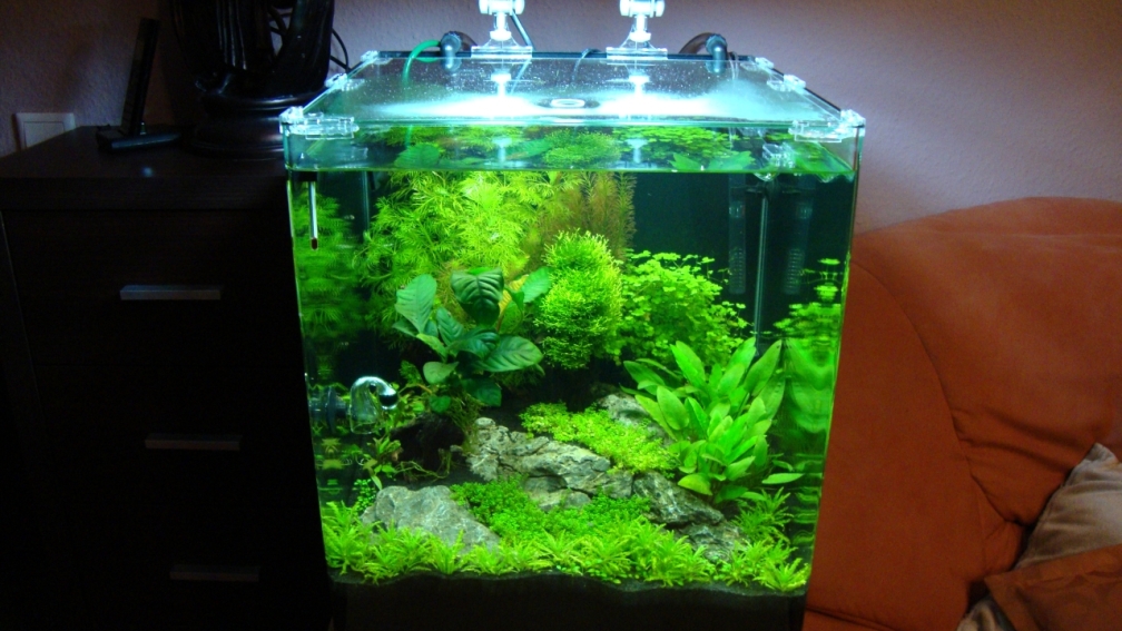 Aquarium Hauptansicht von Nano Cube 60 Liter