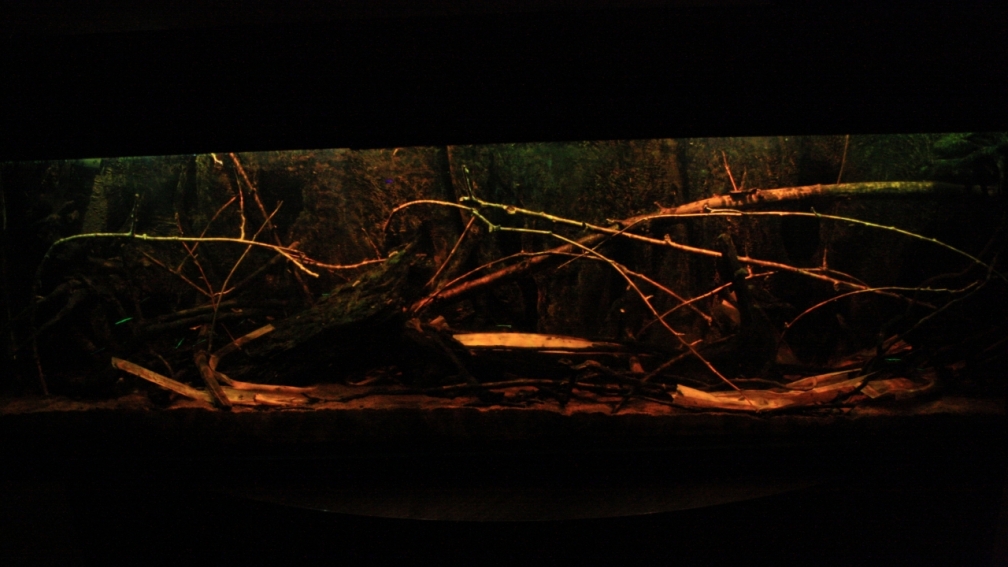 Little Rio Negro, März 2013