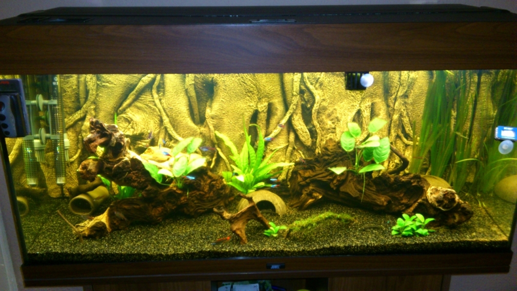 Aquarium Hauptansicht von juwel rio