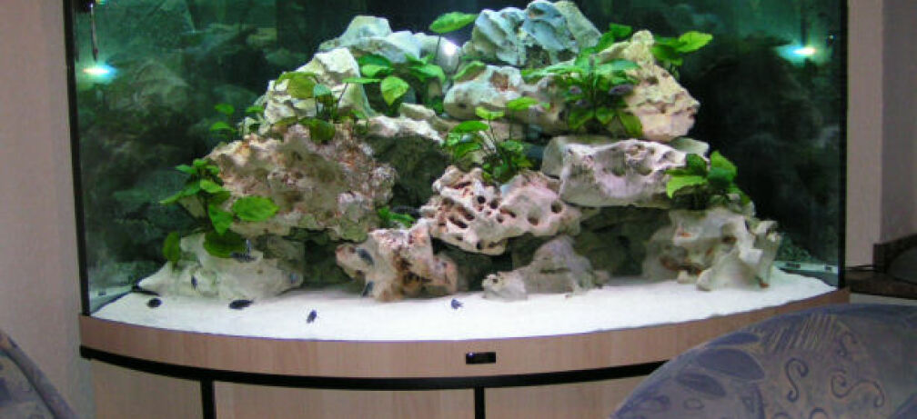 Aquarium Hauptansicht von Becken 2495