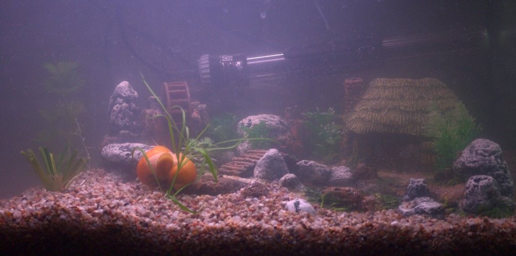 Der Anfang ist gemacht