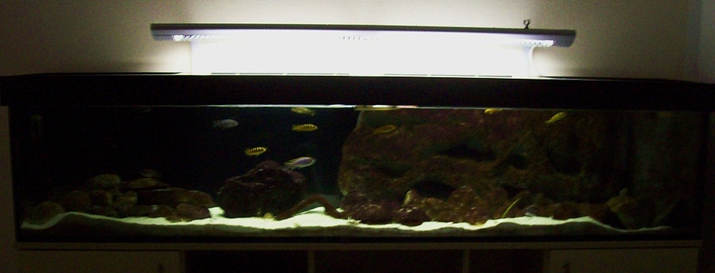 Malawi ... nur noch als Beispiel