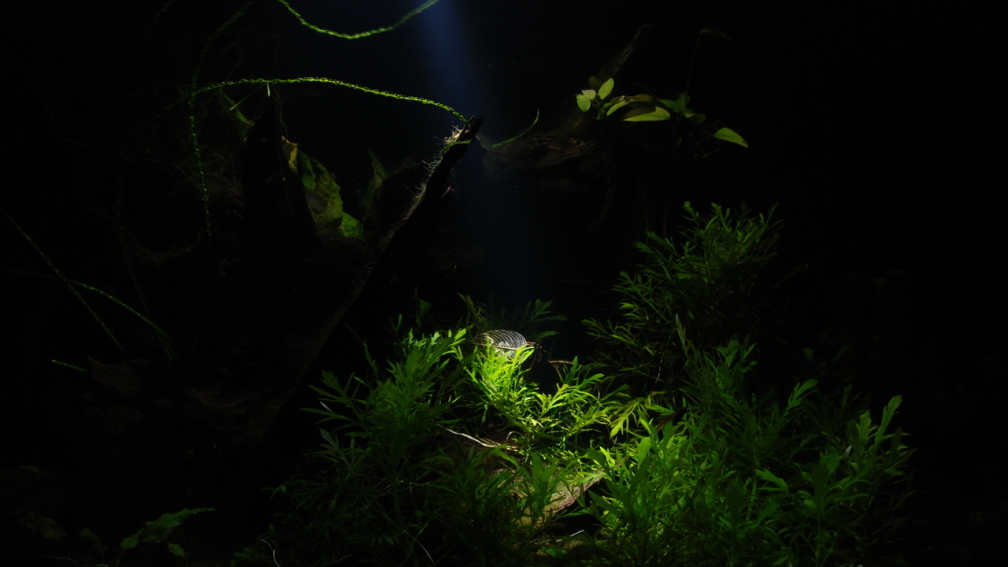 21.02.2015 ~ bei Nacht