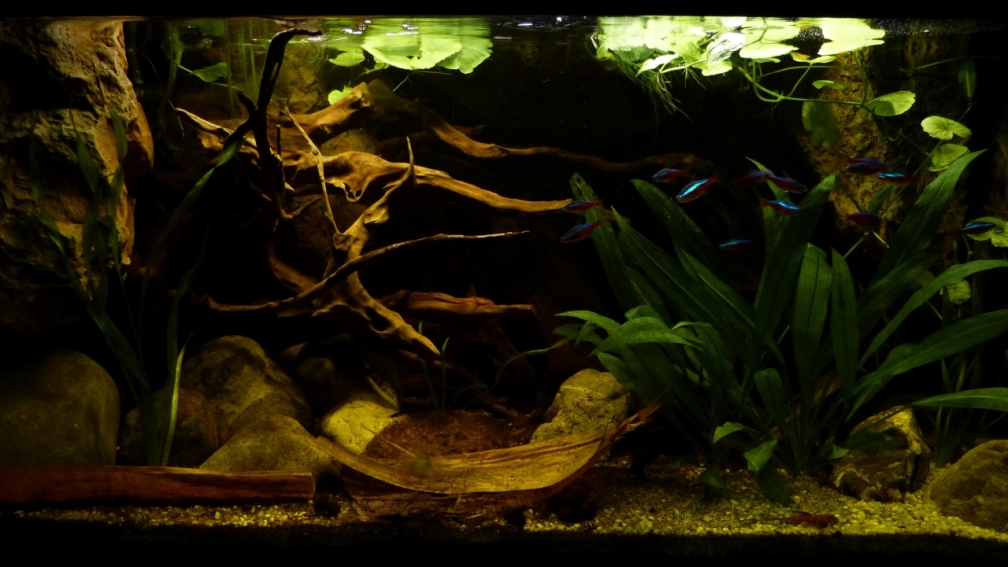 Gesamtansicht 20.08.13