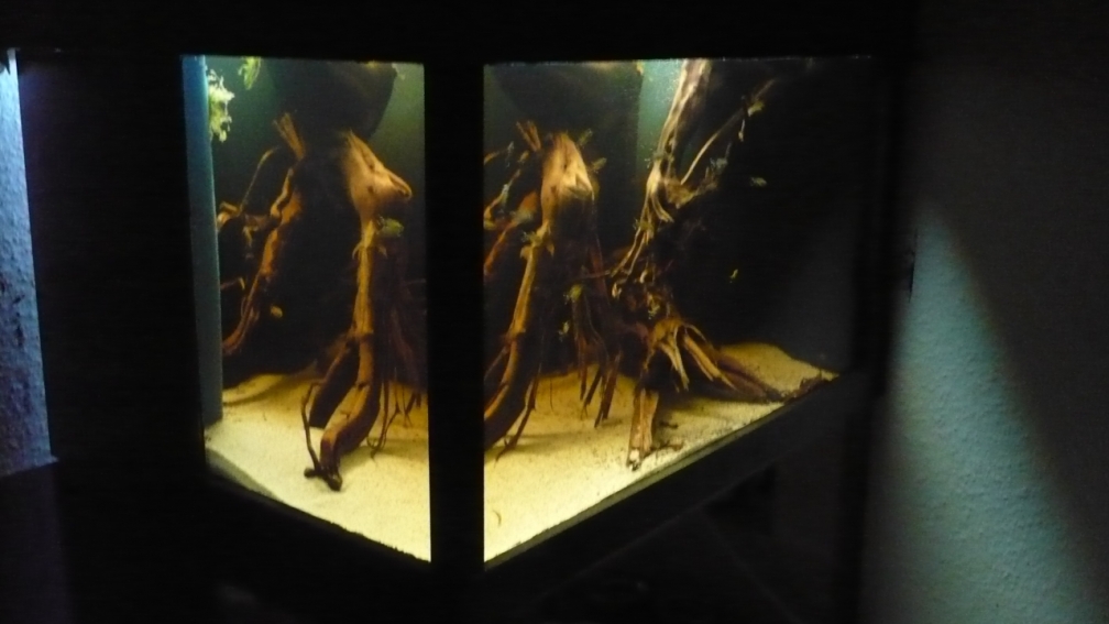 Hauptbild. Ansicht vom Bett aus!