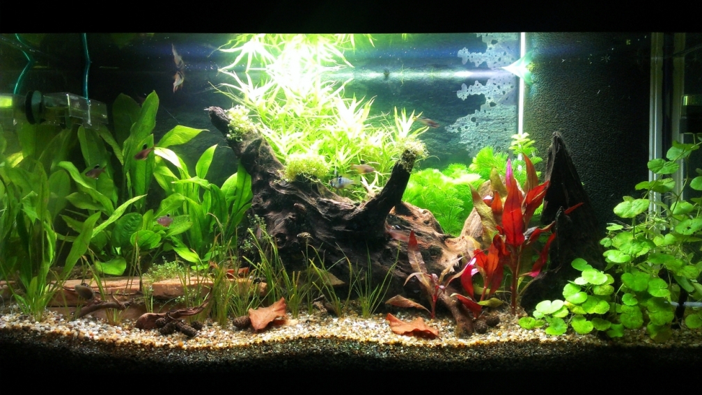 Gesamtansicht 24.03.2013