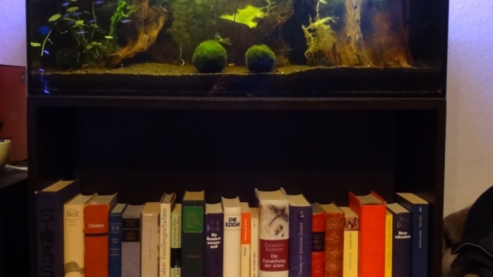 Aquarium Hauptansicht von Hoan Kiem