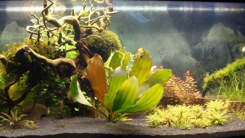 Frontansicht vom 24.11.2013