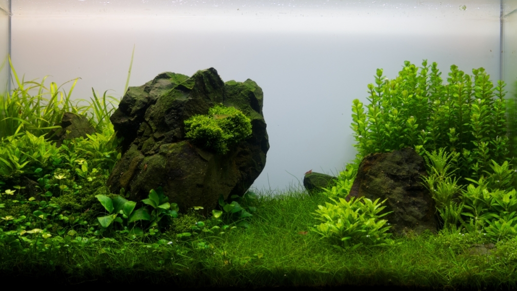 Ansicht vom 14.08.2013