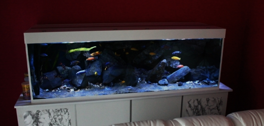 Malawitraum ( Umdekoriert ) Malawitraum ( Umdekoriert )