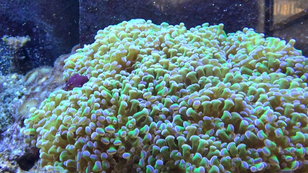 Aquarium beim Start Aquarium beim Start