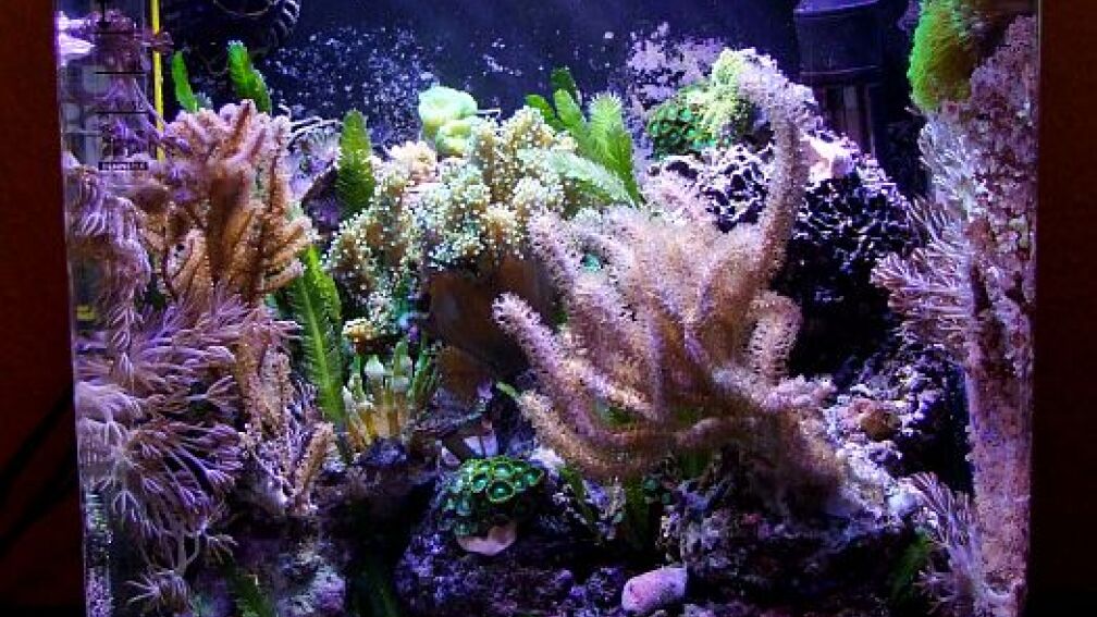 Kleines Meer April 2013