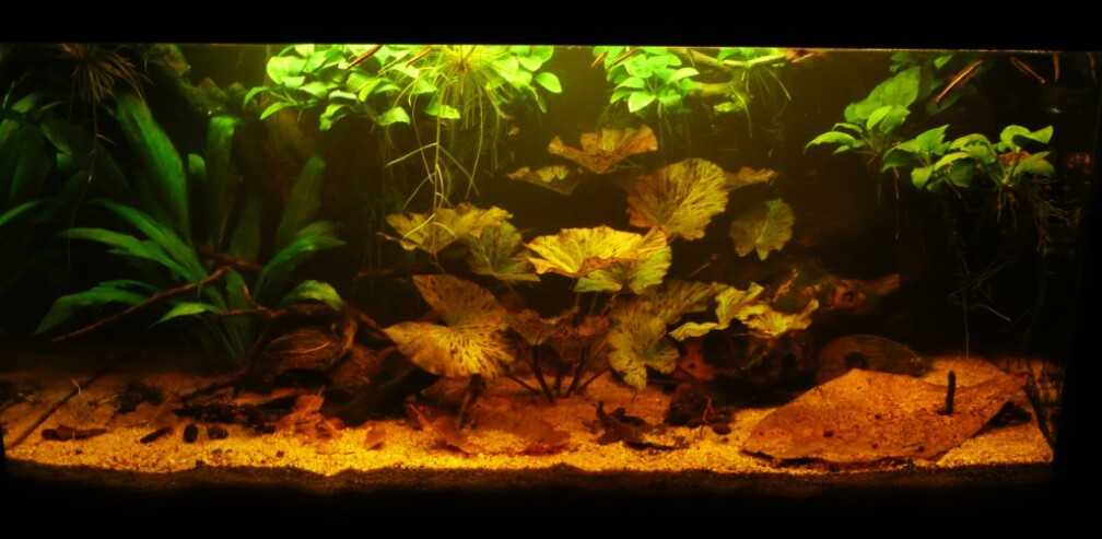 Gesamtansicht - Stand März 2013