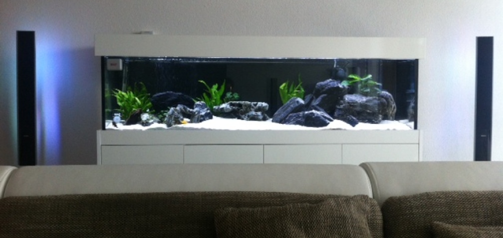 Aquarium zwischen LED Dolby Surround System