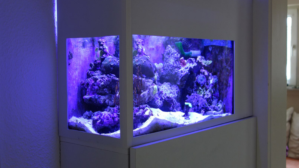 Nanoaquarium Nanoaquarium