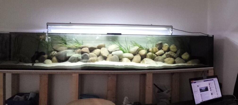 `MbunaBay` (Tag 1 der Fertigstellung des Layouts)