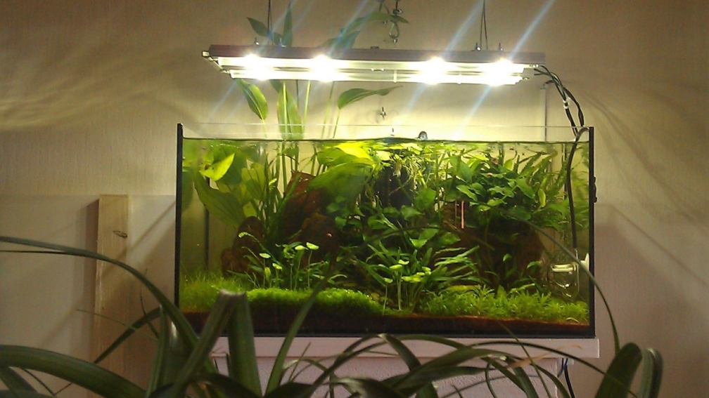 Living-Room-Tank 1.0