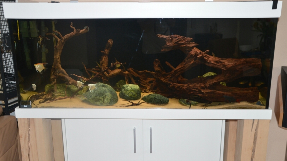 Aquarium Hauptansicht von Tomek-Becken