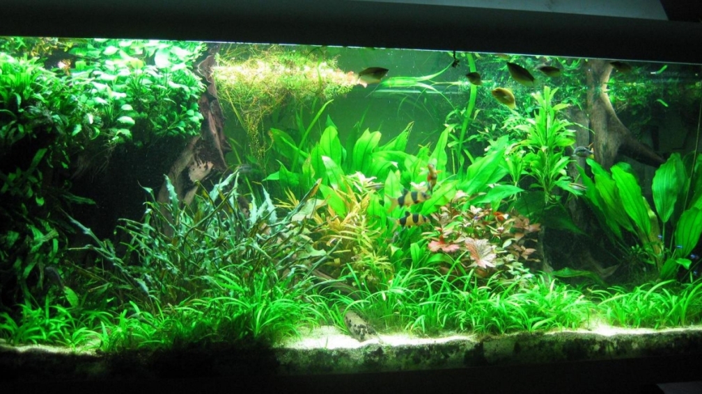 Gesamtansicht Juli 2013