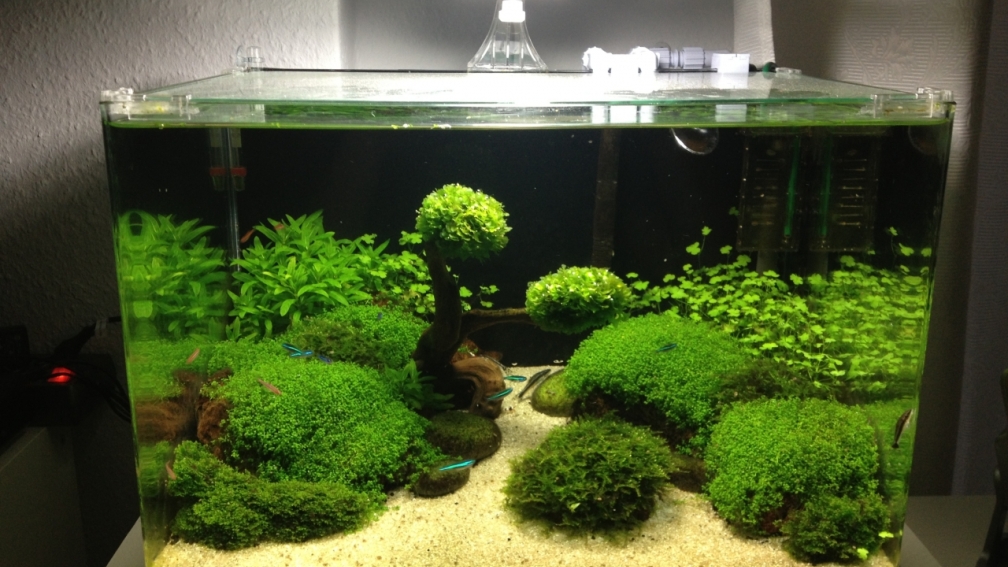 Aquarium Hauptansicht von Becken 27280