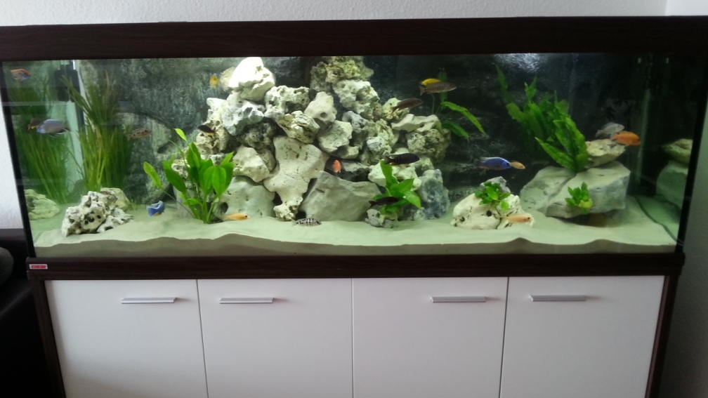 Mein Schatz ;)