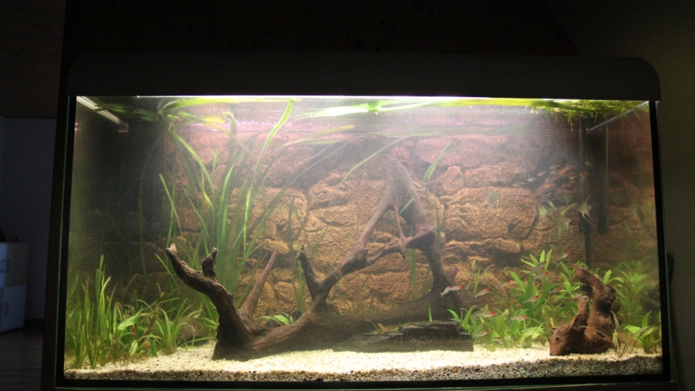 Aller Anfang ist schwer