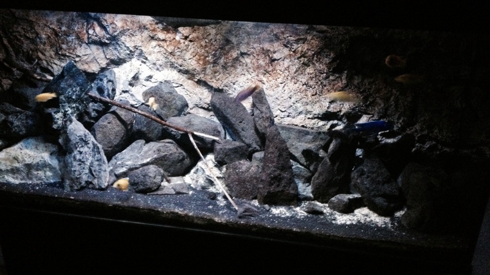 Aquarium Hauptansicht von stone bay area (closed due!!!)