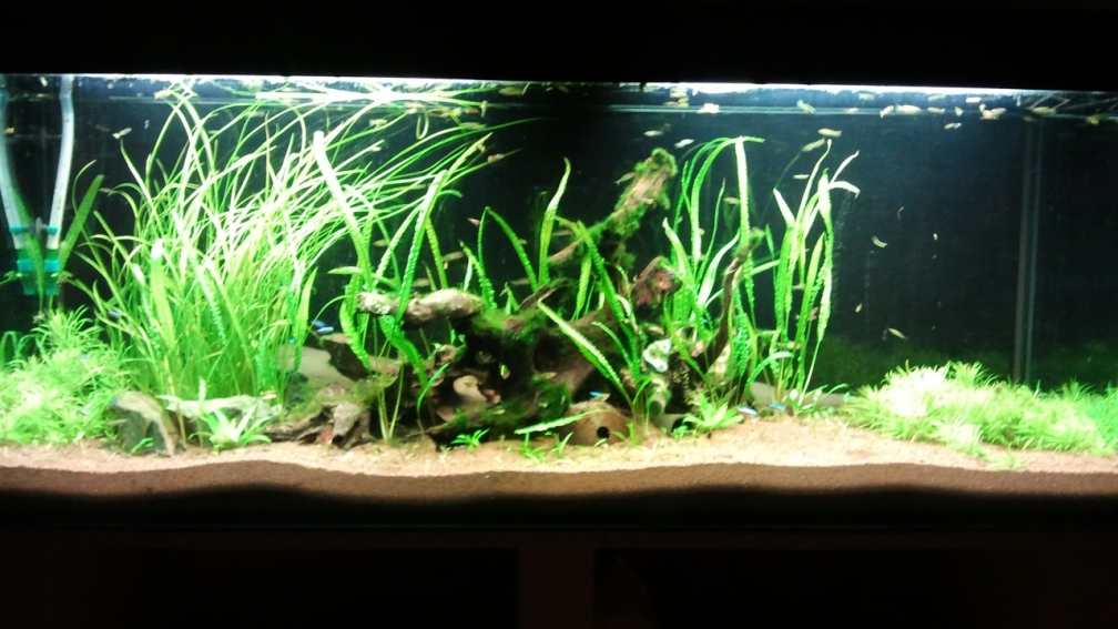 Vorderansicht Esszimmerseite