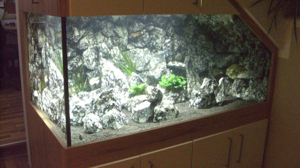Aquarium Hauptansicht von Die Granithöhle