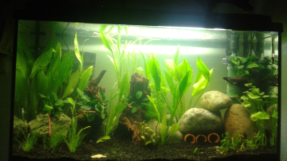 Momentaner Blick ins Becken! 