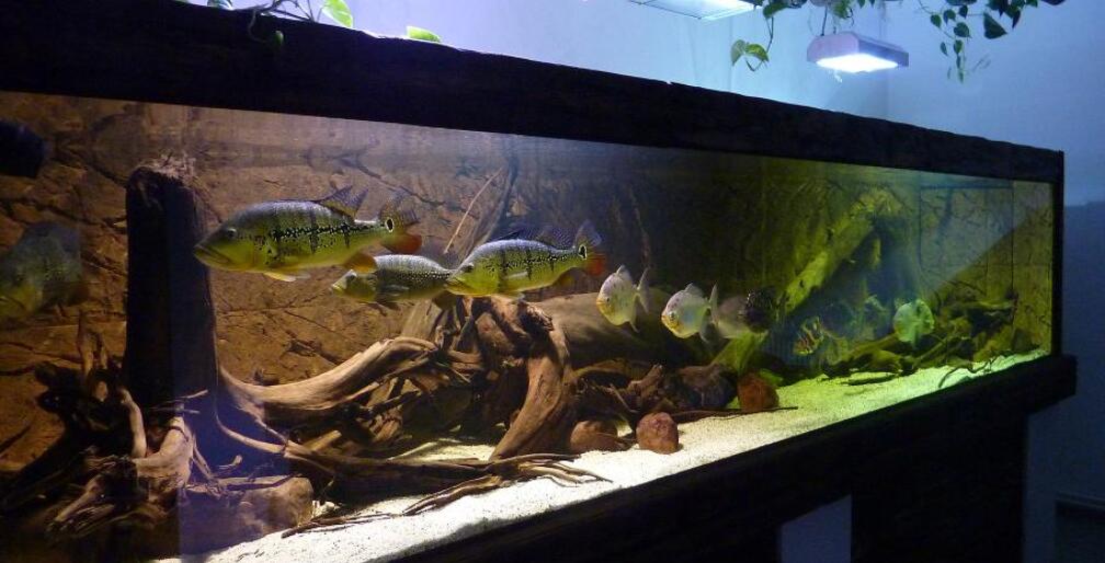 Gesamtansicht Oktober 2013