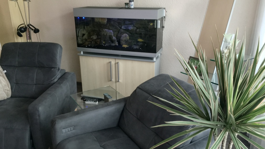 Aquarium Hauptansicht von Yellow Tank