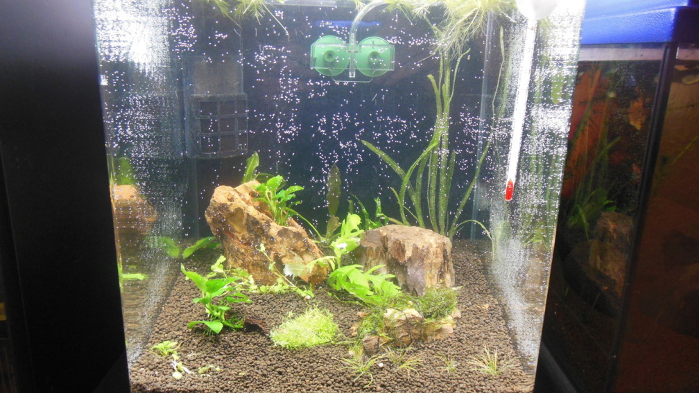 Aquarium Hauptansicht von 2. Versuch