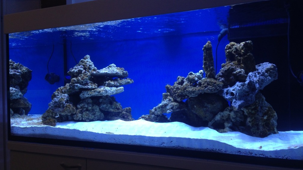 Aquarium Hauptansicht von Reef Dream